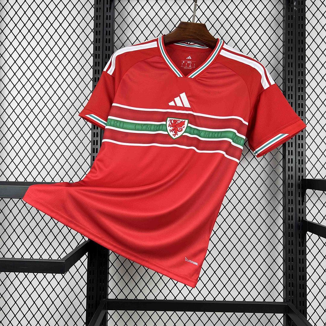 Camisa Seleção País de Gales Home 2025/26 1